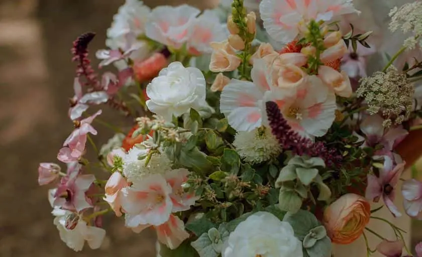 representative photo for Flower  Farms in Berkeley, California