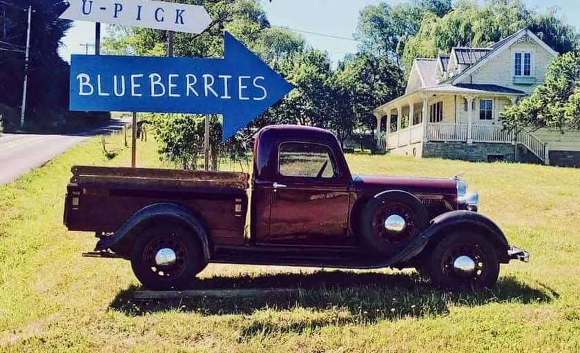 representative photo for Fruit Picking  Farms in Sebastopol, California