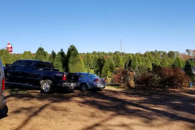 Photo of Fruit Picking  at Helms’ Christmas Tree Farm Vale, North carolina