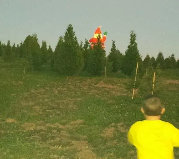 Photo of Fruit Picking  at Helms’ Christmas Tree Farm Vale, North carolina - 3