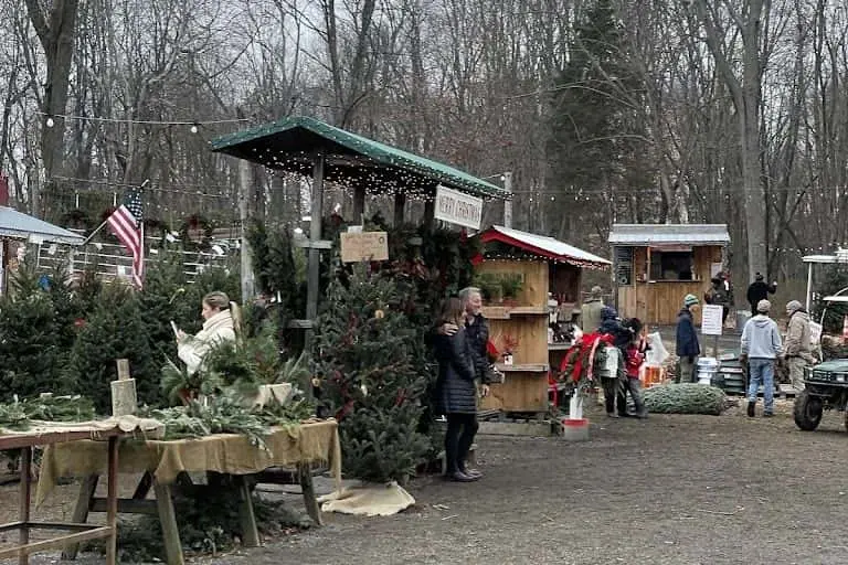 Photo of Fruit Picking at Hidden Pond Tree Farm - Cut your own Christmas Tree Mendham Township, New Jersey - 3