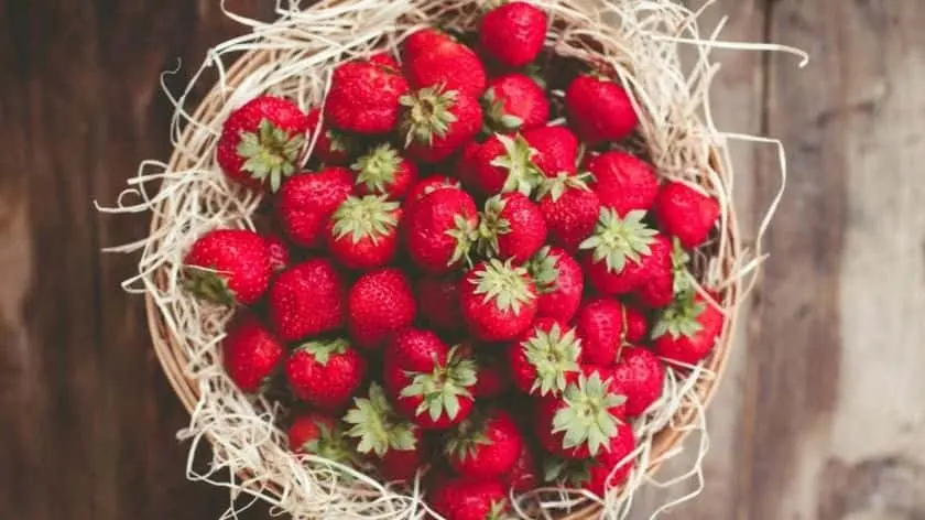 representative photo for Fruit Picking  Farms in Medford, New Jersey