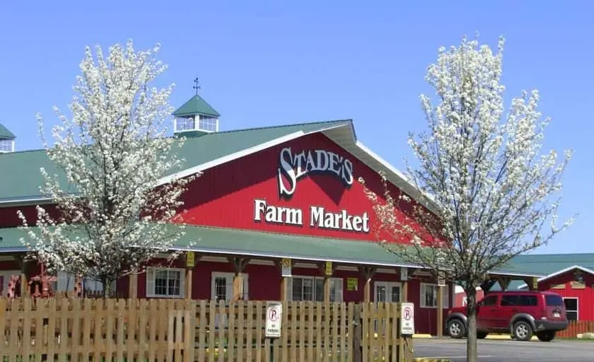 Photo of Fruit Picking  at Stade’s Farm and Market - U-pick Apples IL Mchenry, Illinois