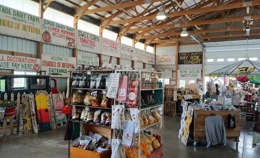 Photo of Fruit Picking  at Stade’s Farm and Market - U-pick Blueberries IL Mchenry, Illinois - 2