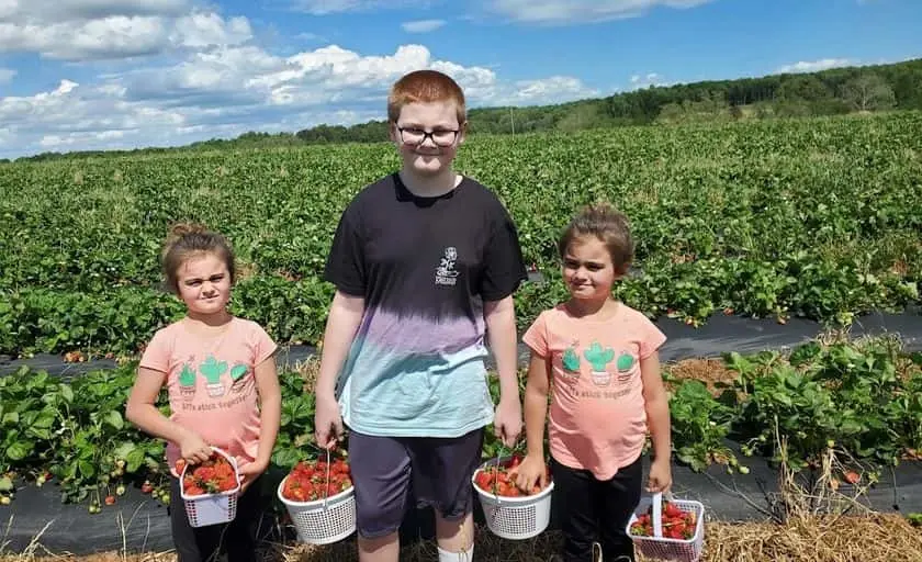 representative photo for Fruit Picking  Farms in Rustburg, Virginia
