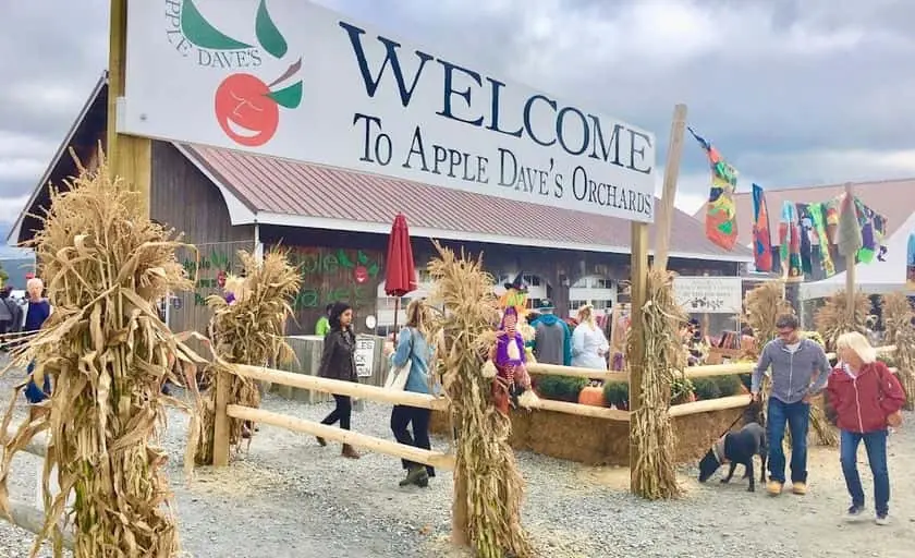 Photo of Fruit Picking Farm at Apple Dave’s Orchards Warwick, New york