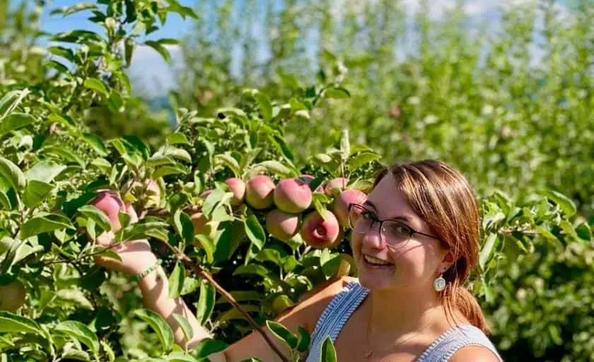 Photo of Fruit Picking Farm at Apple Dave’s Orchards Warwick, New york - 2