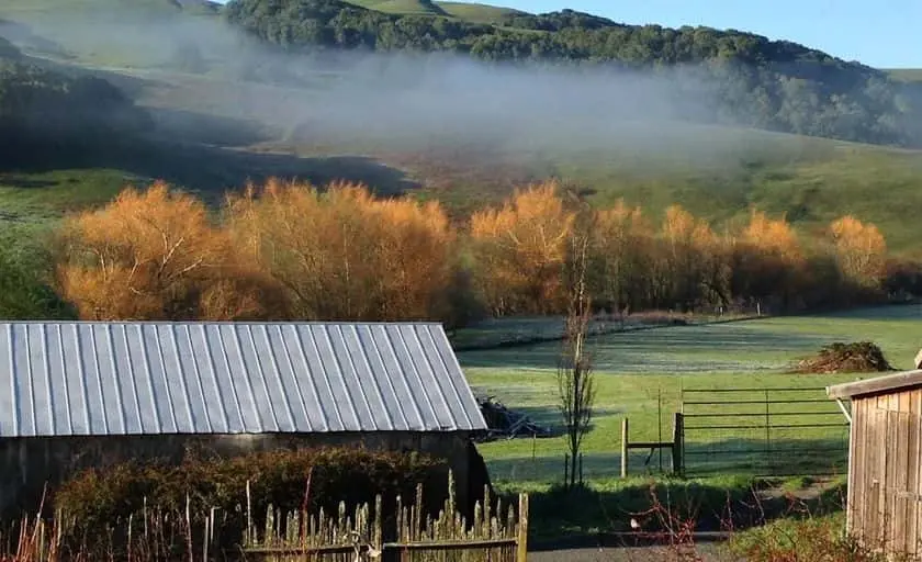 Photo of Fruit Picking Farm at Chileno Valley Ranch Petaluma, California