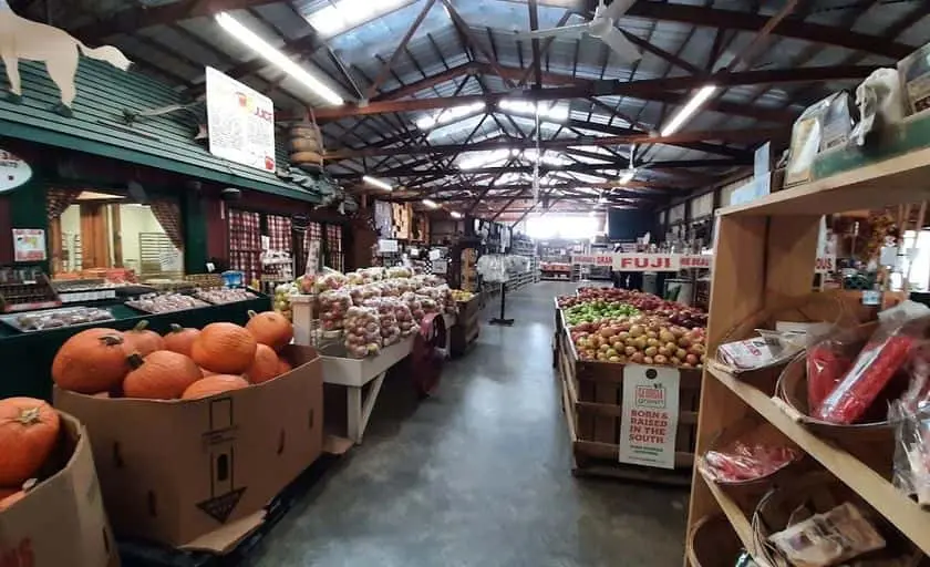 Photo of Fruit Picking Farm at Hillcrest Orchards Ellijay, Georgia - 3