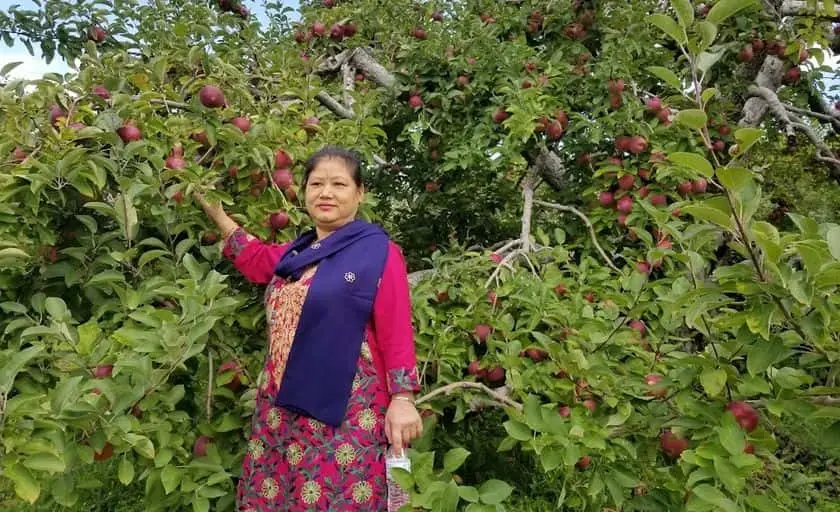 Photo of Fruit Picking Farm at Honey Pot Hill Orchards Stow, Massachusetts - 3