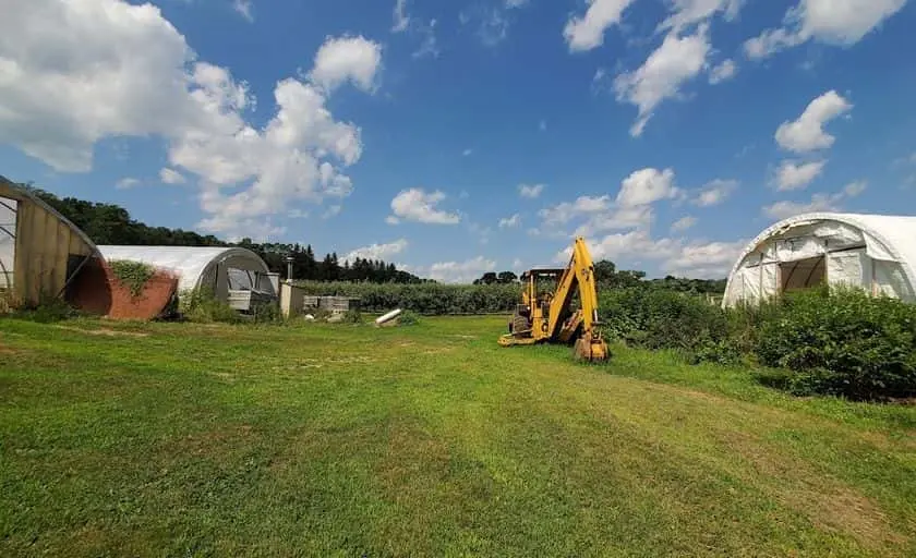 Photo of Fruit Picking Farm at Horse Listener’s Orchard Ashford, Connecticut - 3