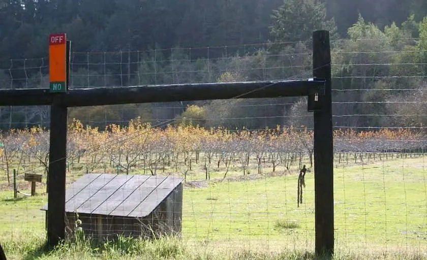 Photo of Fruit Picking Farm at Swanton Pacific Ranch Davenport, California