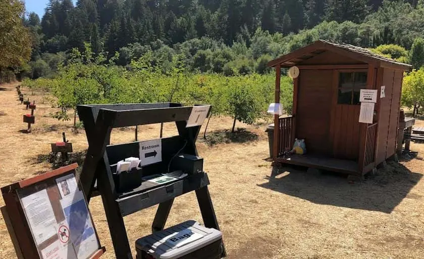 Photo of Fruit Picking Farm at Swanton Pacific Ranch Davenport, California - 2