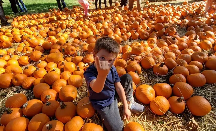 Photo of  Green Meadows Farm New York Oakland Gardens, New york - 2