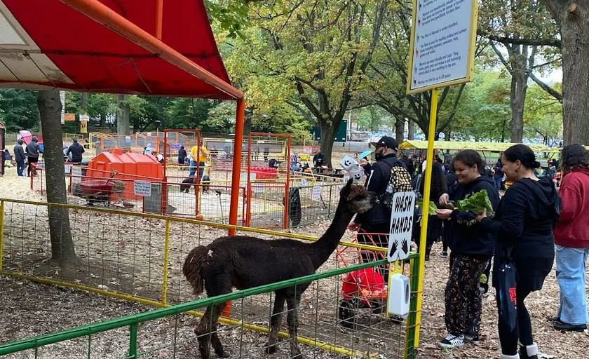 Photo of  Green Meadows Farm New York Oakland Gardens, New york - 3