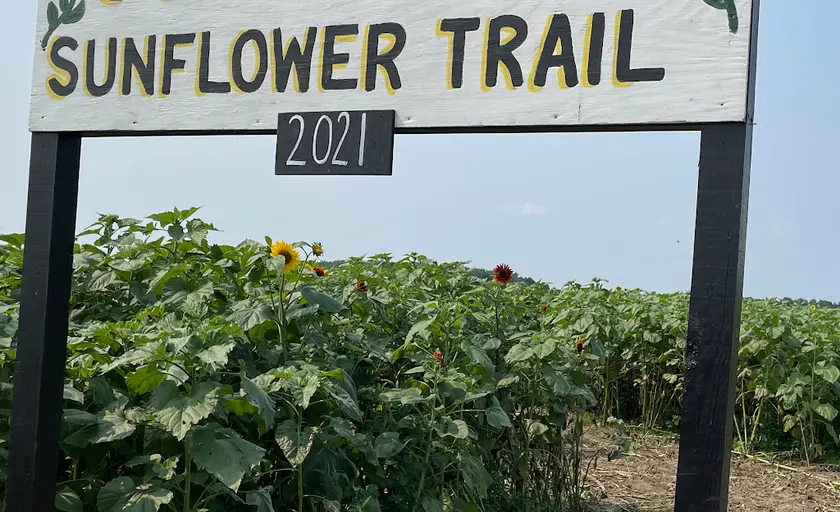 Photo of  Gust Flower and Produce Farm Ottawa Lake, Michigan