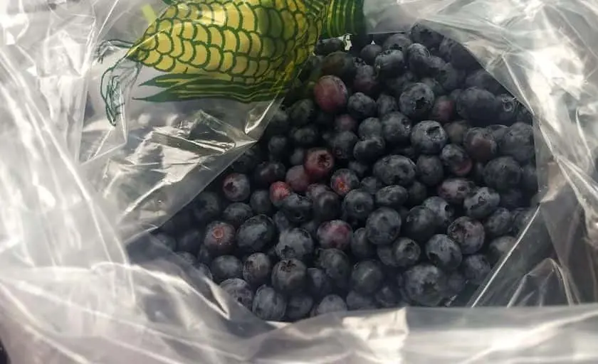 Photo of  Harveys Farm Tekonsha, Michigan - 3