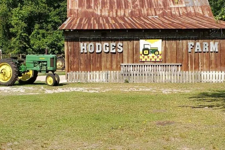 representative photo for Strawberry Picking Farms in Newington, Georgia