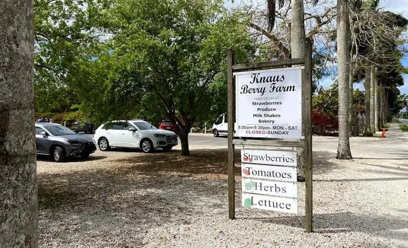 Photo of  Knaus Berry Farm Homestead, Florida - 3