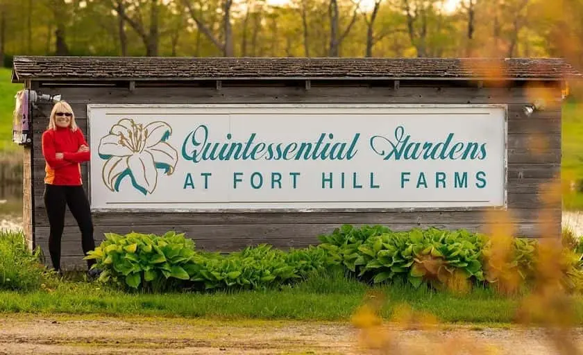 Photo of Lavender  at Fort Hill Farms Thompson, Connecticut