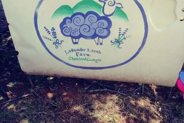 representative photo for Lavender  Farms in Cleveland, Georgia