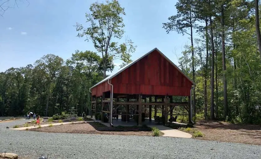 Photo of Lavender  at Lavender Oaks Farm Chapel Hill, North carolina - 3