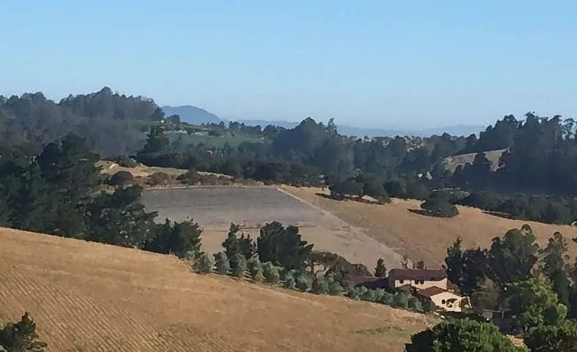 representative photo for Lavender  Farms in Sebastopol, California