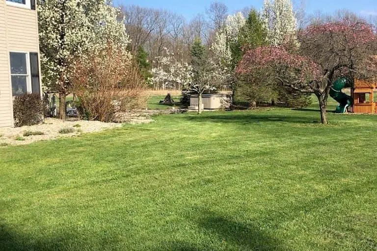 Photo of Lavender Farm at Nellie’s Lavender Estate Jackson, Michigan