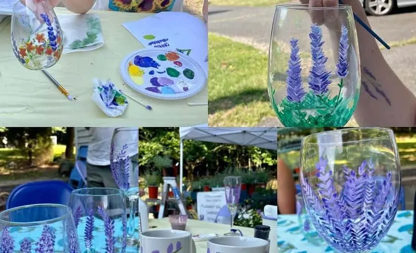 Photo of Lavender Farm at Pleasant Valley Lavender Morganville, New jersey - 2