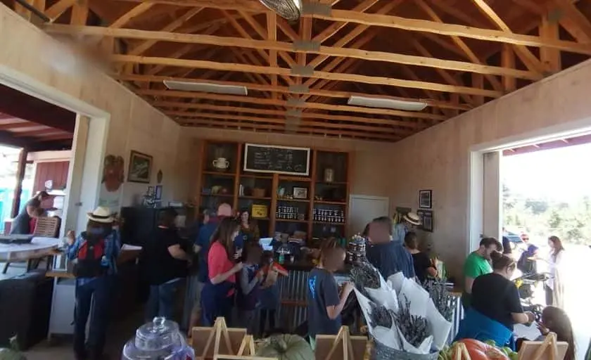 representative photo for Local Honey Farms in Watsonville, California