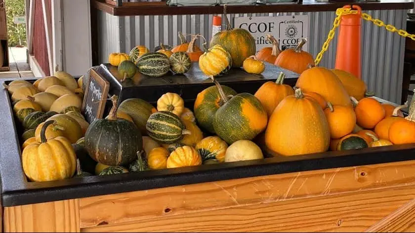 Photo of Local Honey at Clearview Orchards Watsonville, California - 3