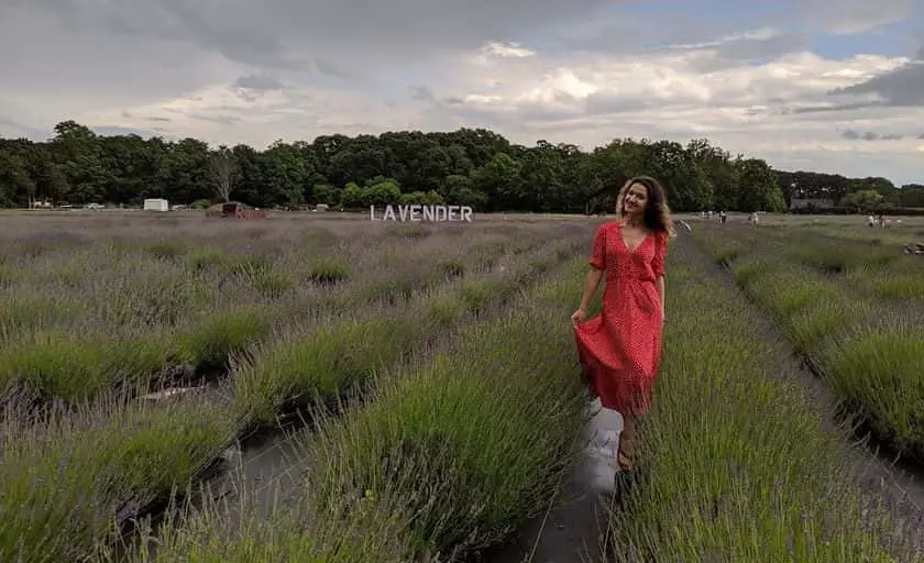 Photo of Local Honey at Lavender by the Bay East Marion, New york - 3