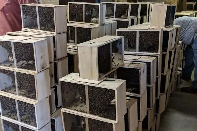 Photo of Local Honey at Maryland Honey Company Gaithersburg, Maryland - 3