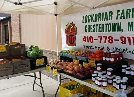 Photo of  Lockbriar Farms Chestertown, Maryland - 3