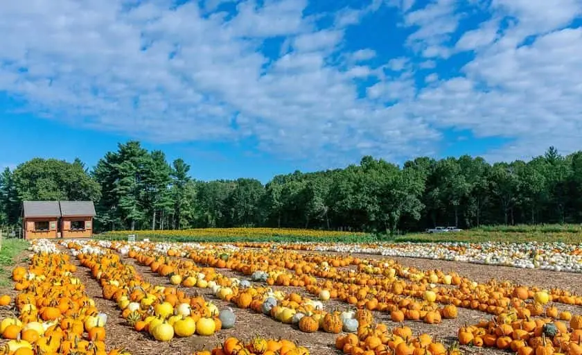 Photo of  Parlee Farms Tyngsborough, Massachusetts - 2