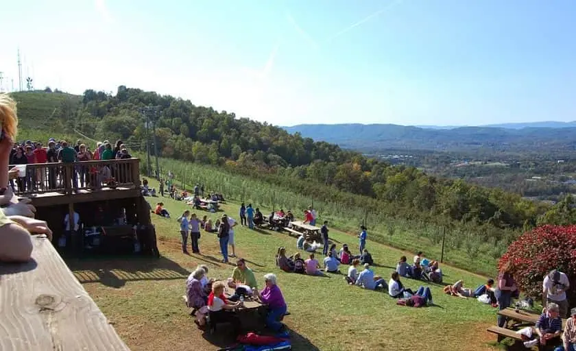 Photo of Peach Picking at Carter Mountain Orchard Charlottesville, Virginia - 3