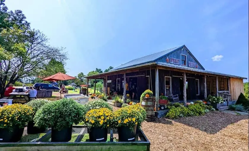 representative photo for Peach Picking Farms in Palmyra, Virginia
