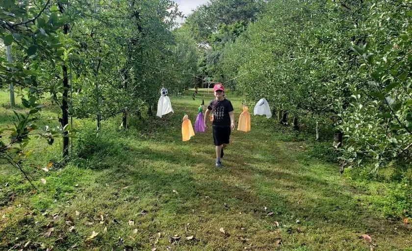 Photo of Peach Picking at Fruit Hill Orchard Palmyra, Virginia - 3