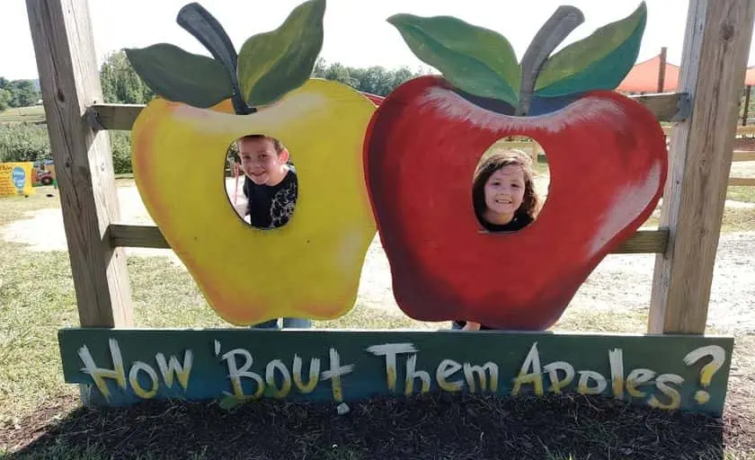 representative photo for Peach Picking Farms in Hendersonville, North Carolina