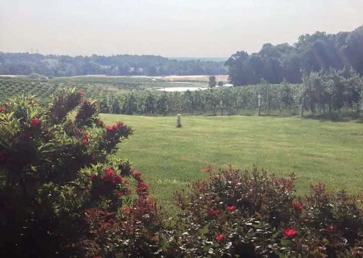 representative photo for Peach Picking Farms in Dickerson, Maryland