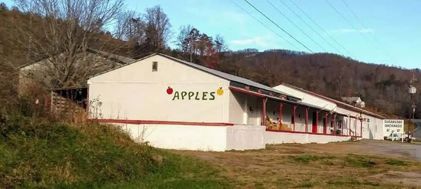 Photo of Peach Picking at Sugarloaf Orchards Taylorsville, North carolina