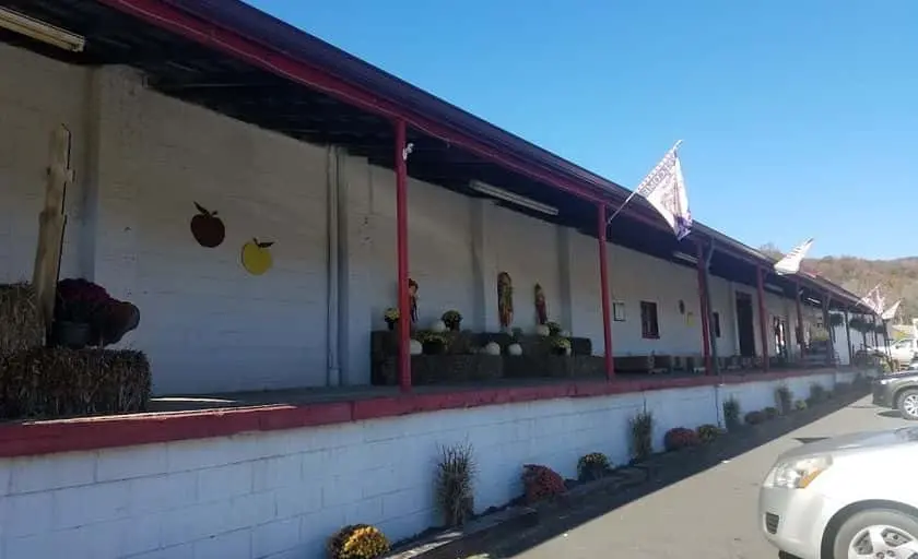 Photo of Peach Picking at Sugarloaf Orchards Taylorsville, North carolina - 3