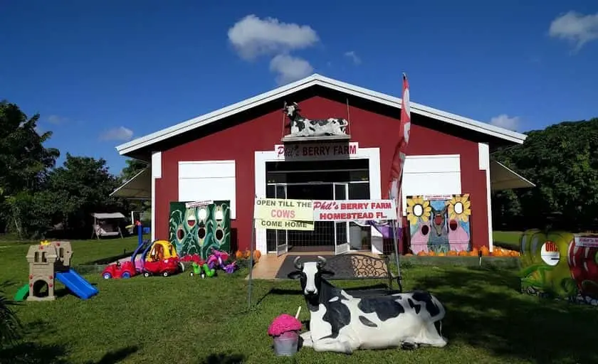 Photo of  Phil’s Berry Farm Homestead, Florida