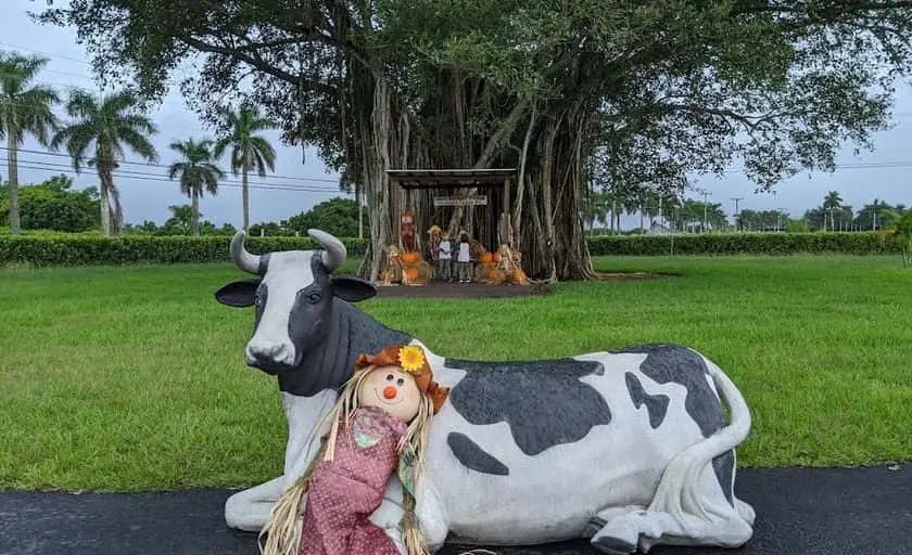 Photo of  Phil’s Berry Farm Homestead, Florida - 3