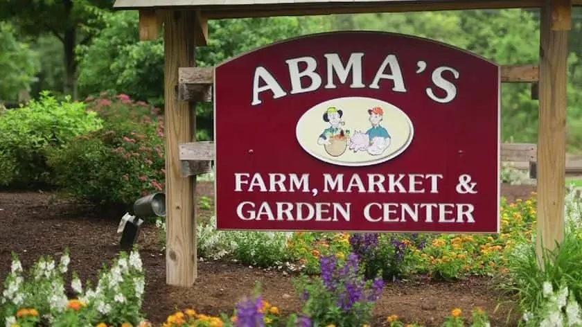 representative photo for Pumpkin Patches in Wyckoff, New Jersey