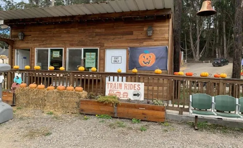 Photo of Pumpkin  at Arata’s Pumpkin Farm Half Moon Bay, California - 3