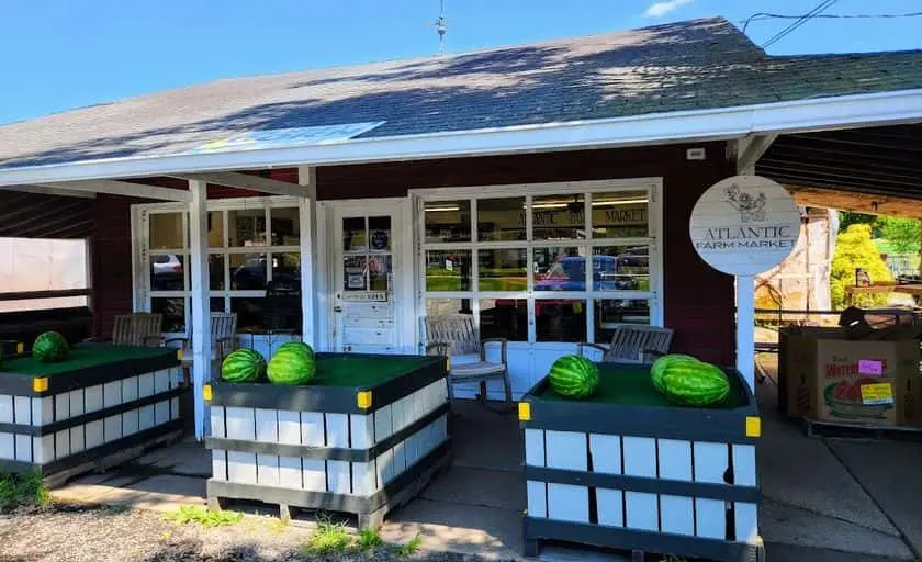 Photo of Pumpkin  at Atlantic Farm Market Manasquan, New jersey