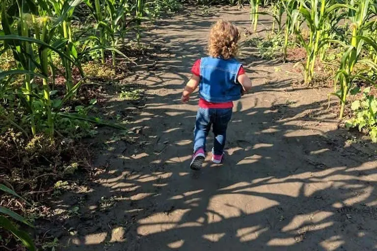 representative photo for Pumpkin Patches in Temecula, California