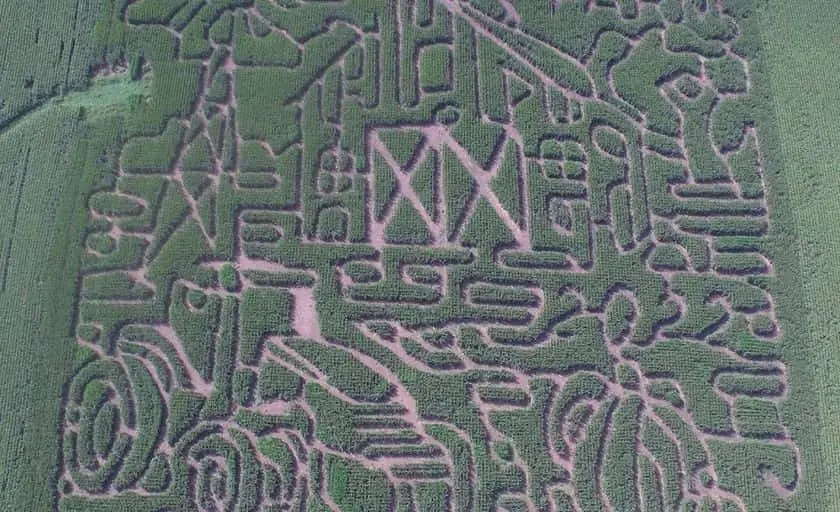 Photo of Pumpkin  at Big Springs Farm Pumpkins & Corn Maze Lanesboro, Minnesota