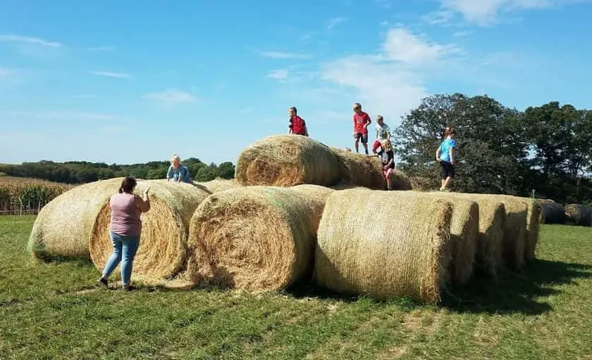 representative photo for Pumpkin Patches in Lanesboro, Minnesota